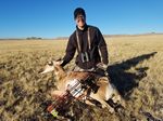 24 Michael 2016 Antelope Doe